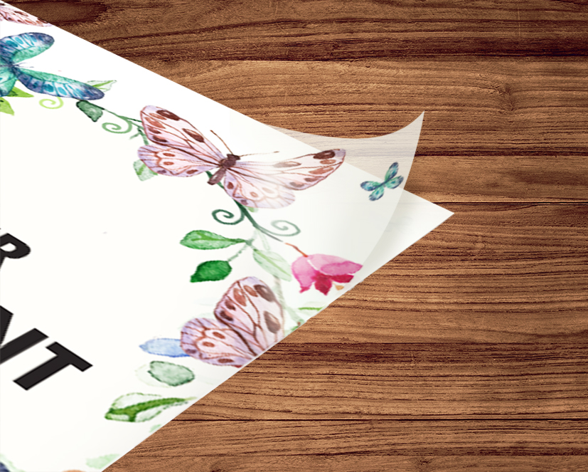 Product -Transparent Sticker